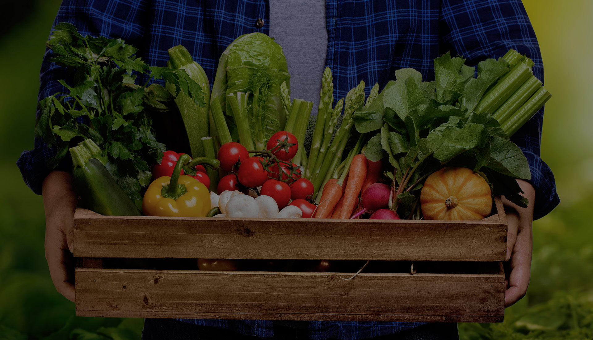Agriculture et alimentation