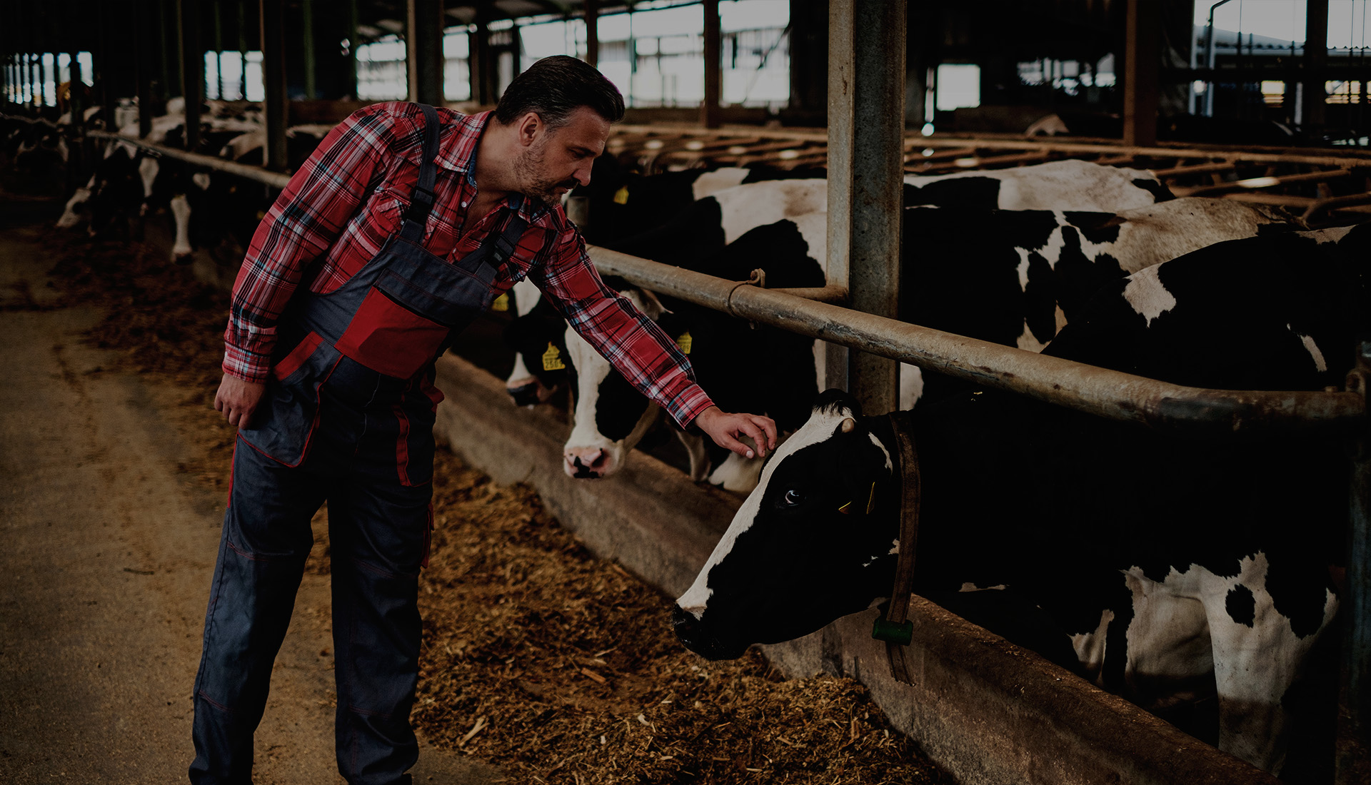 Production animale et vegetale